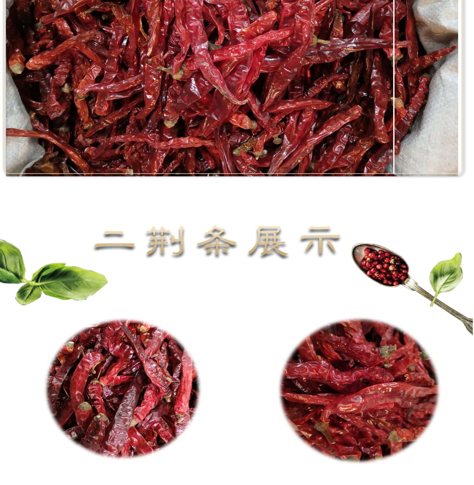 现货批发二荆条微辣特香二青条红辣椒油辣子调味料干辣椒散装500g