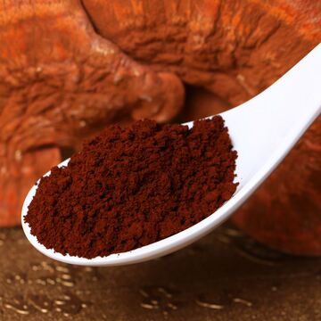 破壁灵芝孢子粉原料低价供应承接破壁灵芝孢子粉oem贴牌代加工