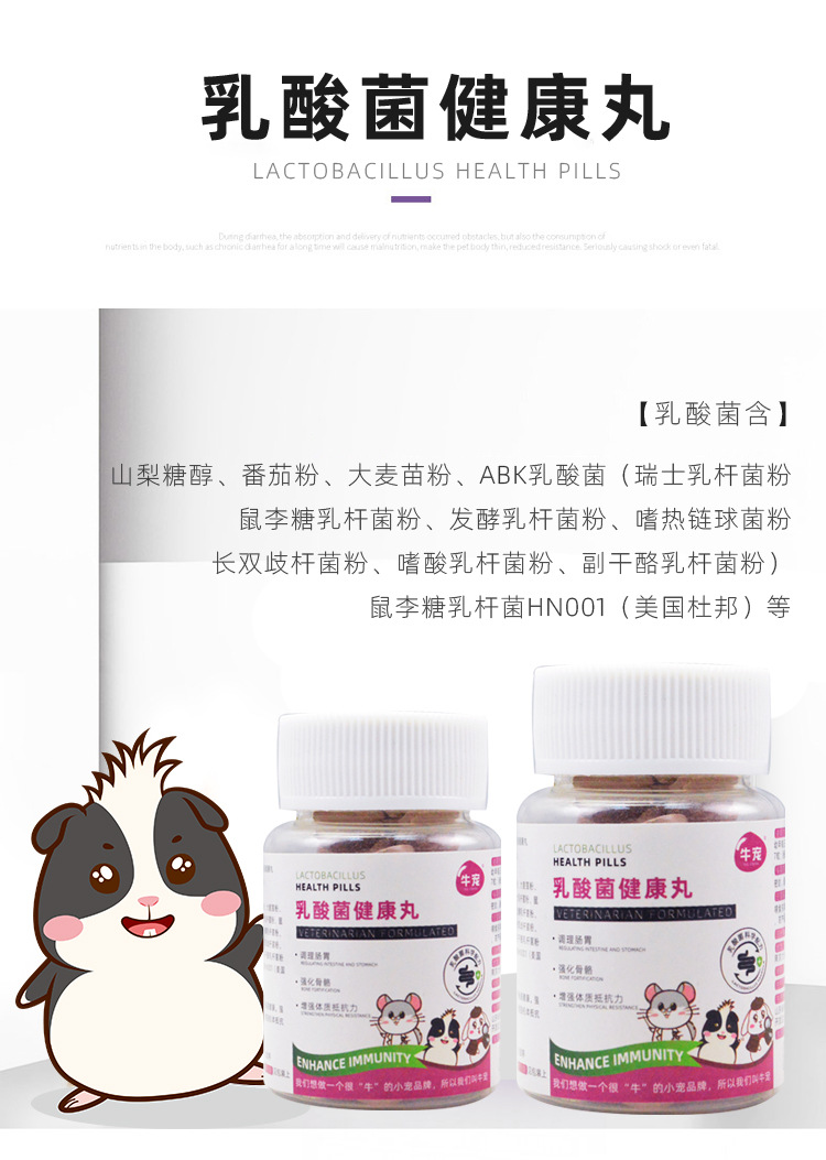 多省免邮小动物乳酸菌益生菌丸子乳酶生50粒兔子天竺鼠龙猫用品