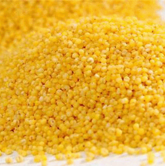 黄小米新米山西特产粟米粗粮五谷杂粮宝宝小米粥农家小黄米月子米