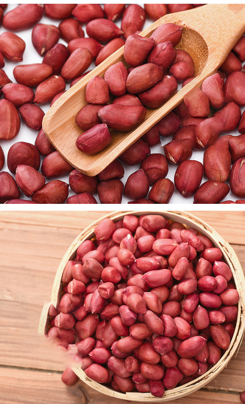 供应四粒红花生米批发红皮生花生米农家自产花生五谷杂粮散装25kg