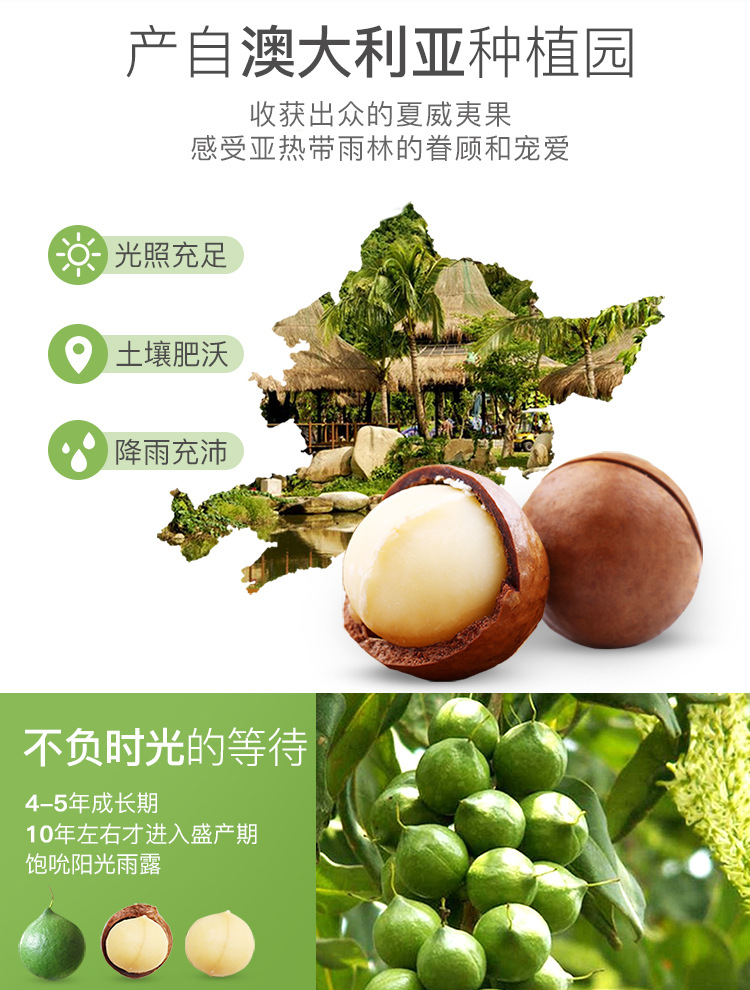 【百草味夏威夷果200g/268g/100g】坚果年货零食干奶油味送开口器