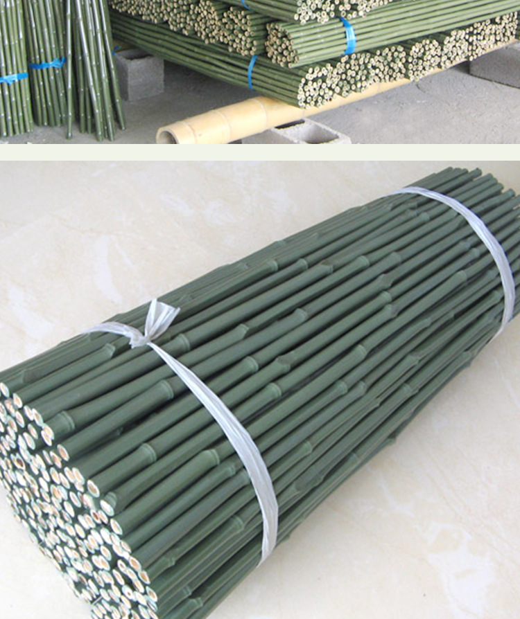 青竹竿新款大棚庭院园艺菜园围栏多种规格手工套塑白竹竿防霉