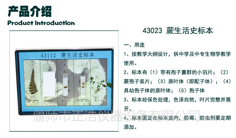 43022葫芦藓生活史标本