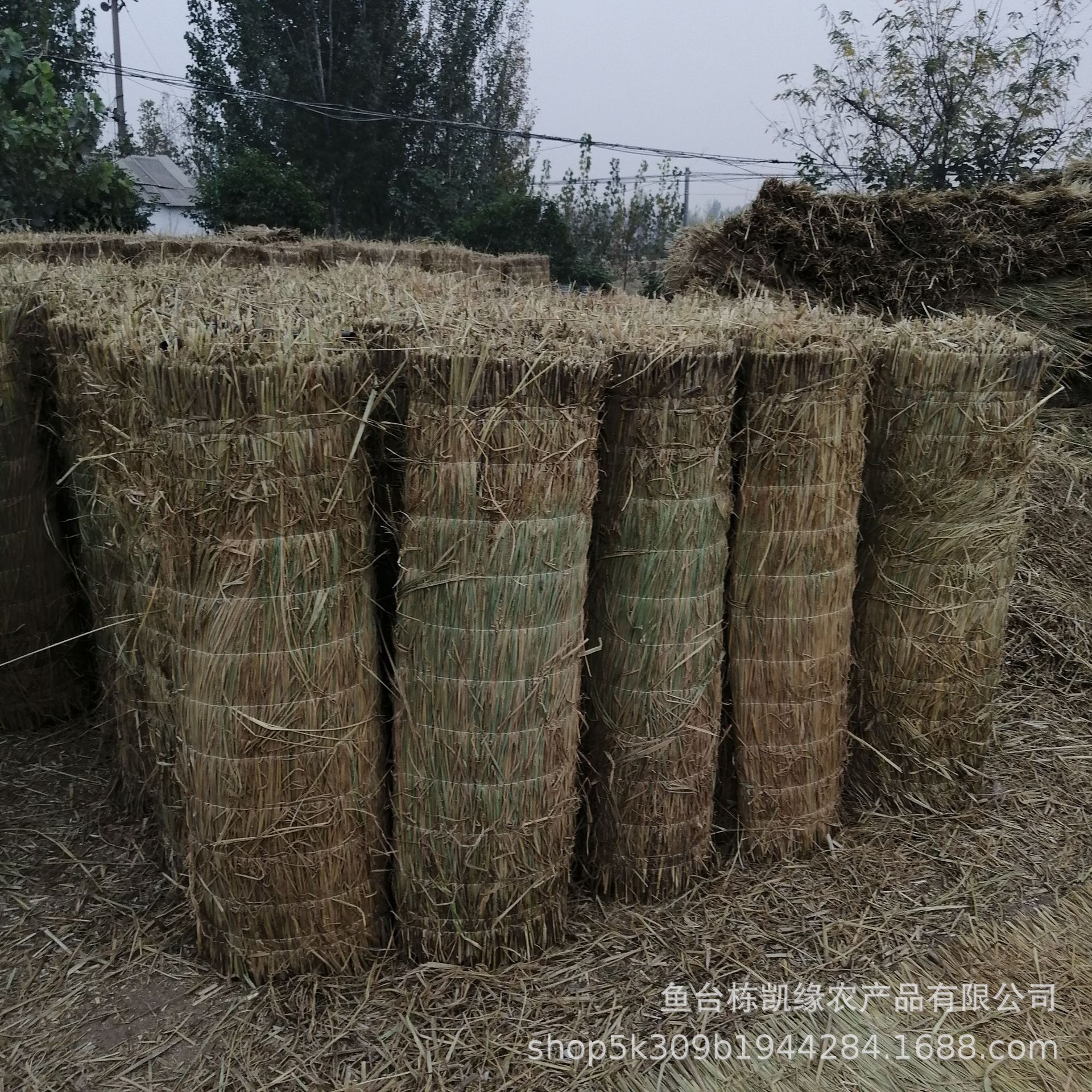 1成交0条稻草绿化草帘冬季温室草苫子草垛草堆 大棚遮阳草帘装饰芦苇