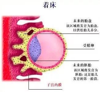 清宫多少钱一般多少钱?pwrh产后专用修复营养费用?