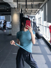 运动T恤女 2019春新款速干网红瑜伽健身服打底衫时尚紧身短袖上衣