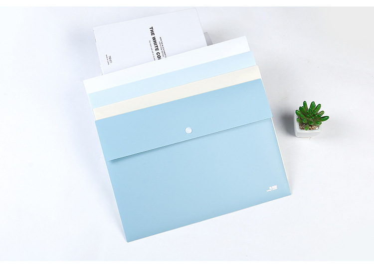 珠玲鸟a4简约淡雅文件袋pp按扣资料收纳袋名片袋公司票据袋直销