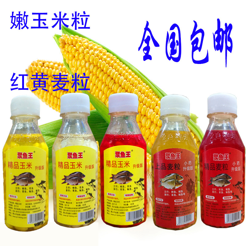 老渔夫小瓶白玉米粒红玉米粒红麦粒黄麦粒鲫鱼鲤鱼草鱼钓饵打窝料