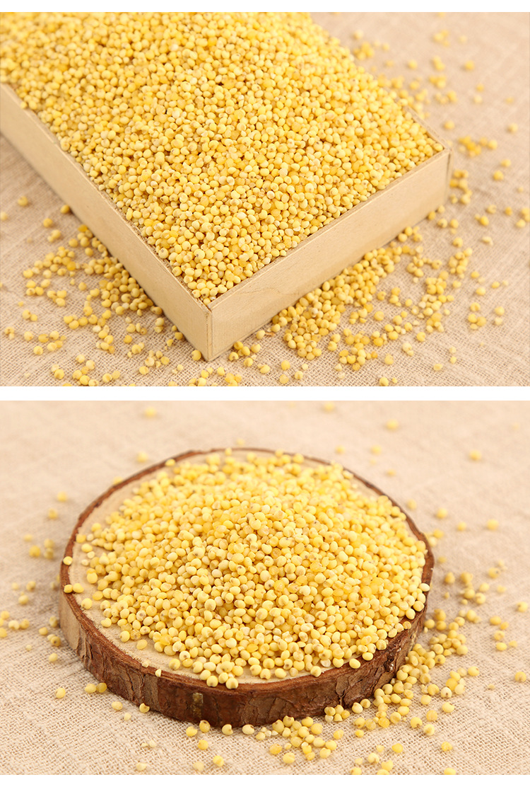 山西大黄米 五谷杂粮非小黄米 粗粮小米批发真空包装380g/袋