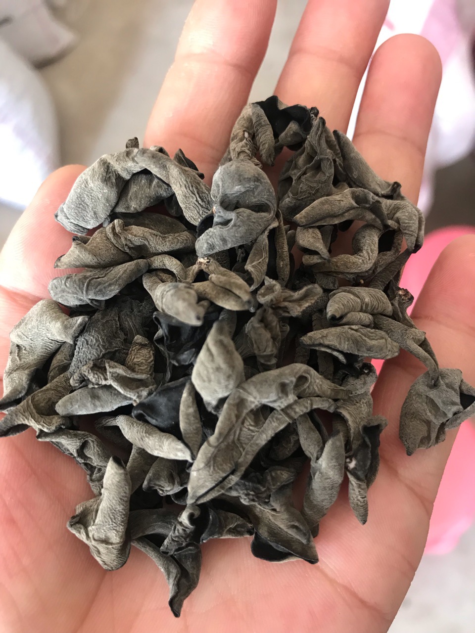 东北特产 农产品 黑木耳 木耳 干货 产地直销 老鼠耳 小碗耳无根