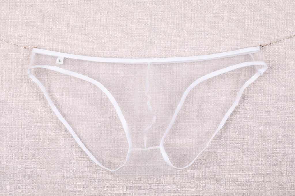 男士内裤细网 透视网纱囊袋低腰三角裤 大码c-034