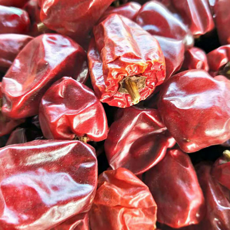 红灯笼干辣椒 香辣型朝天椒 麻辣香锅辣椒 贵州大红袍辣椒 500克