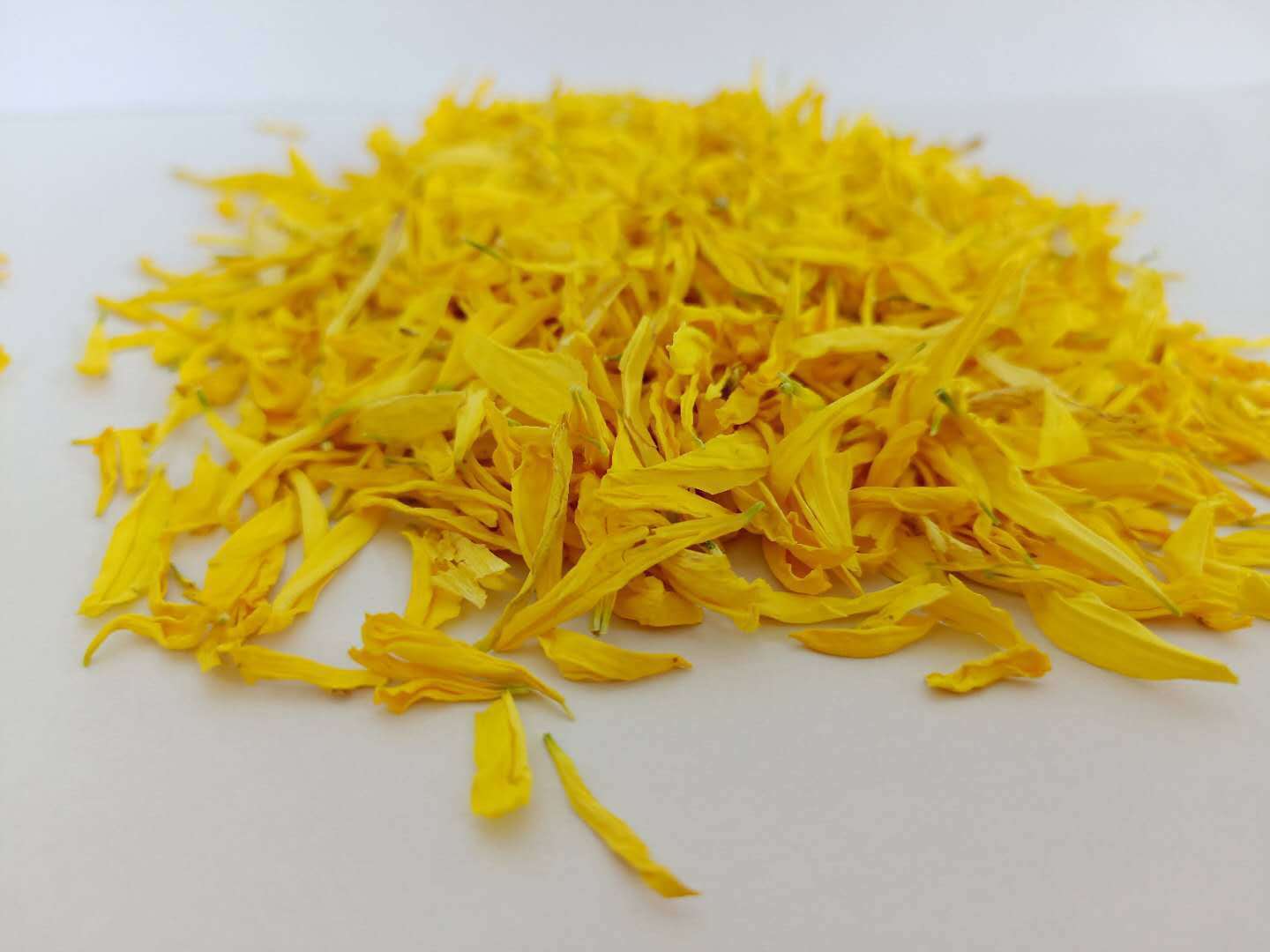 新货 菊花瓣金丝黄菊花瓣 婺源皇菊瓣泡茶 花茶袋泡茶贡菊花批发