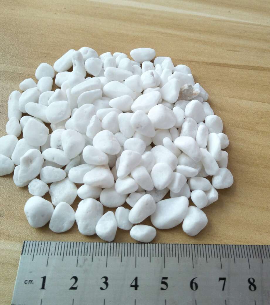 水洗石砾石胶粘石水磨石石子洗米石园林石碎石瓜子片雨花石鹅卵石