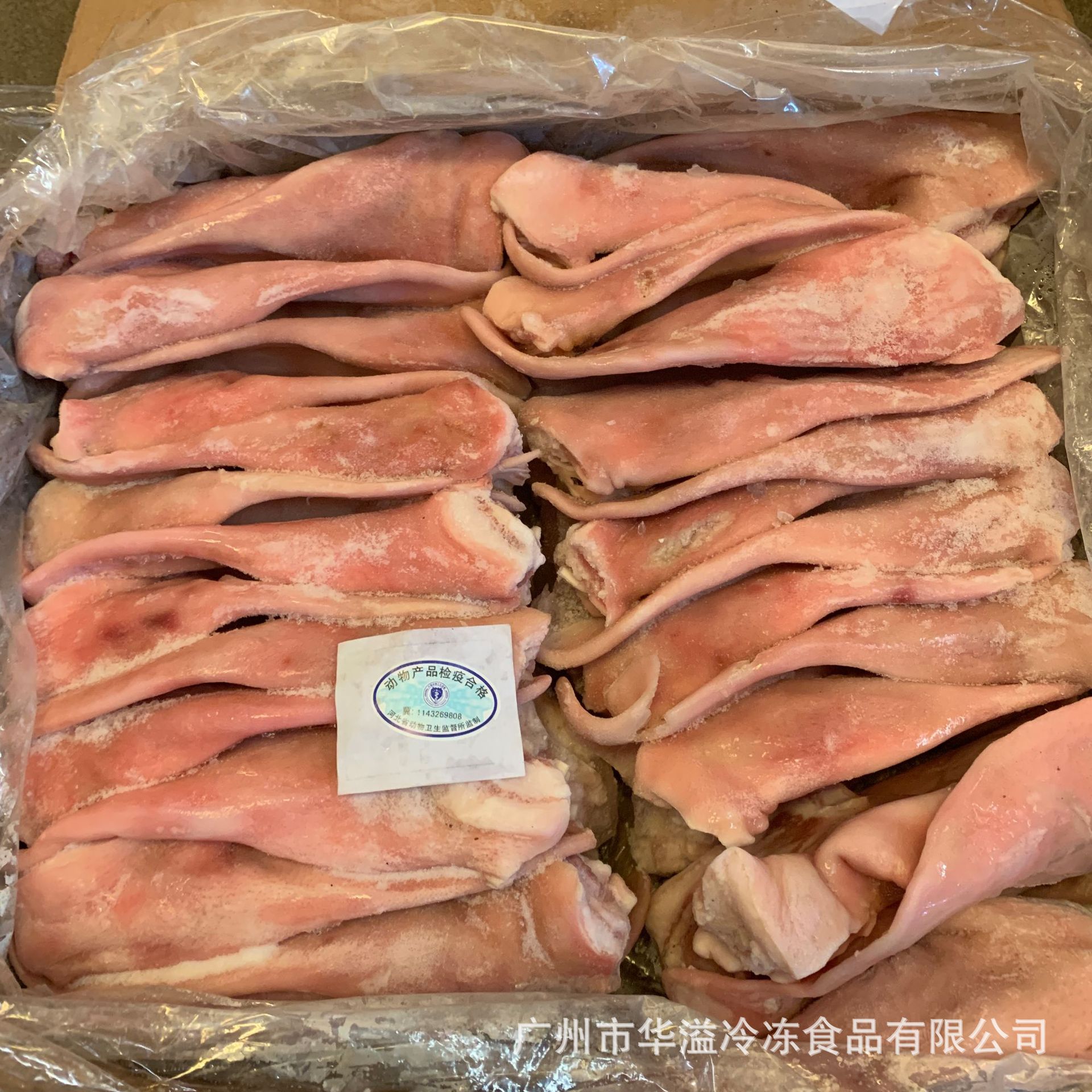 冷冻猪耳 猪耳朵 20斤/箱26个 广州批发生鲜猪耳 冷冻猪耳片