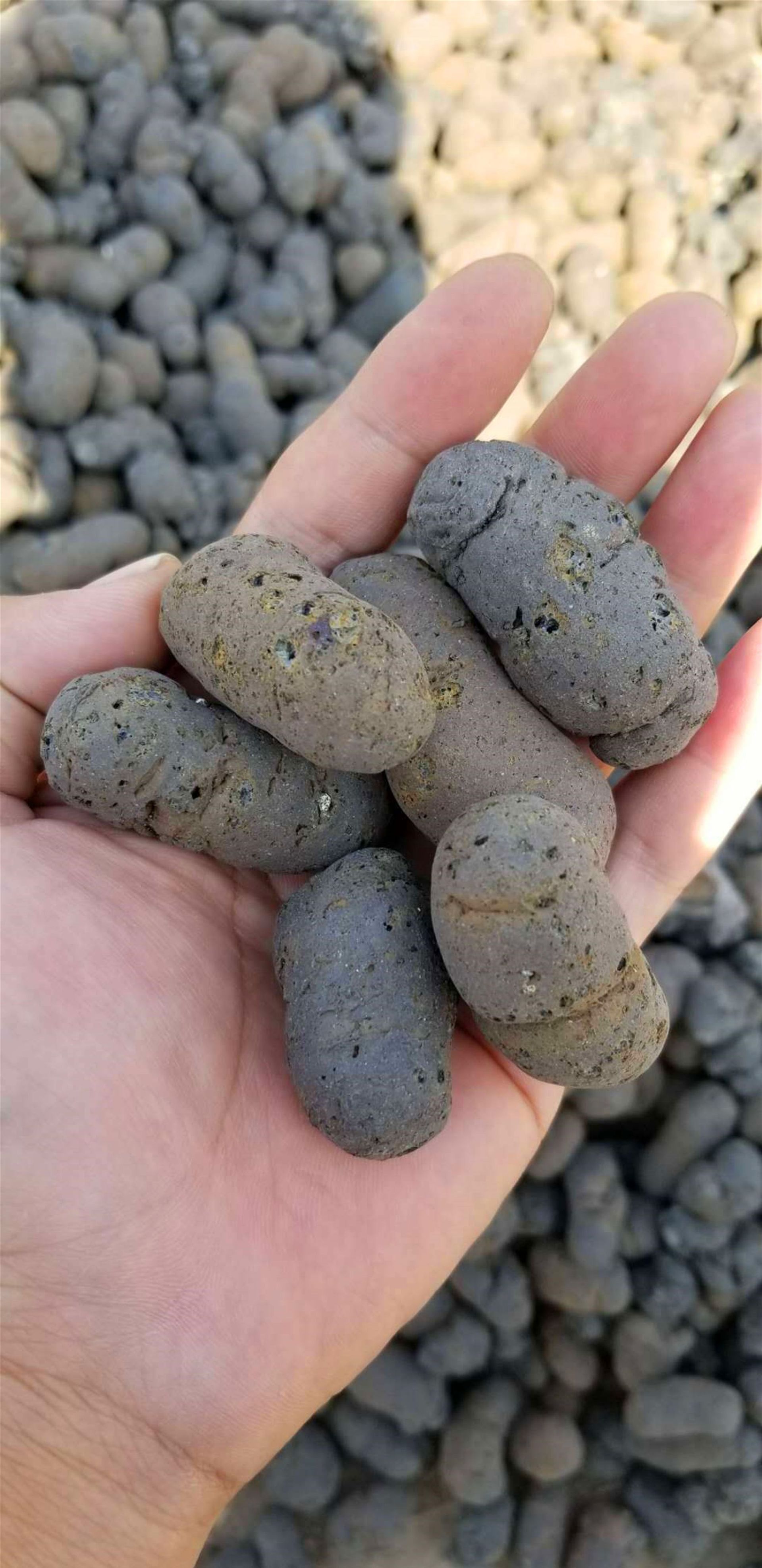 杭州佳佳好景观艺术工程有限公司大量供应各种规格陶粒 栽培基质