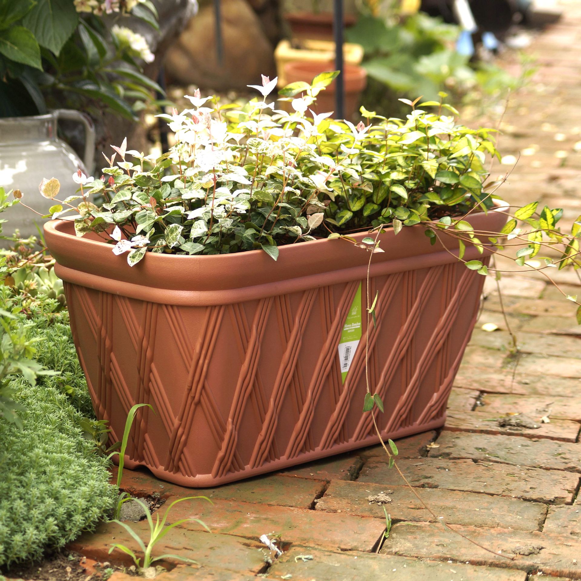 供应绿化工程阳台花盆菜盆长槽长方形花盆花槽新料加厚园艺盆栽