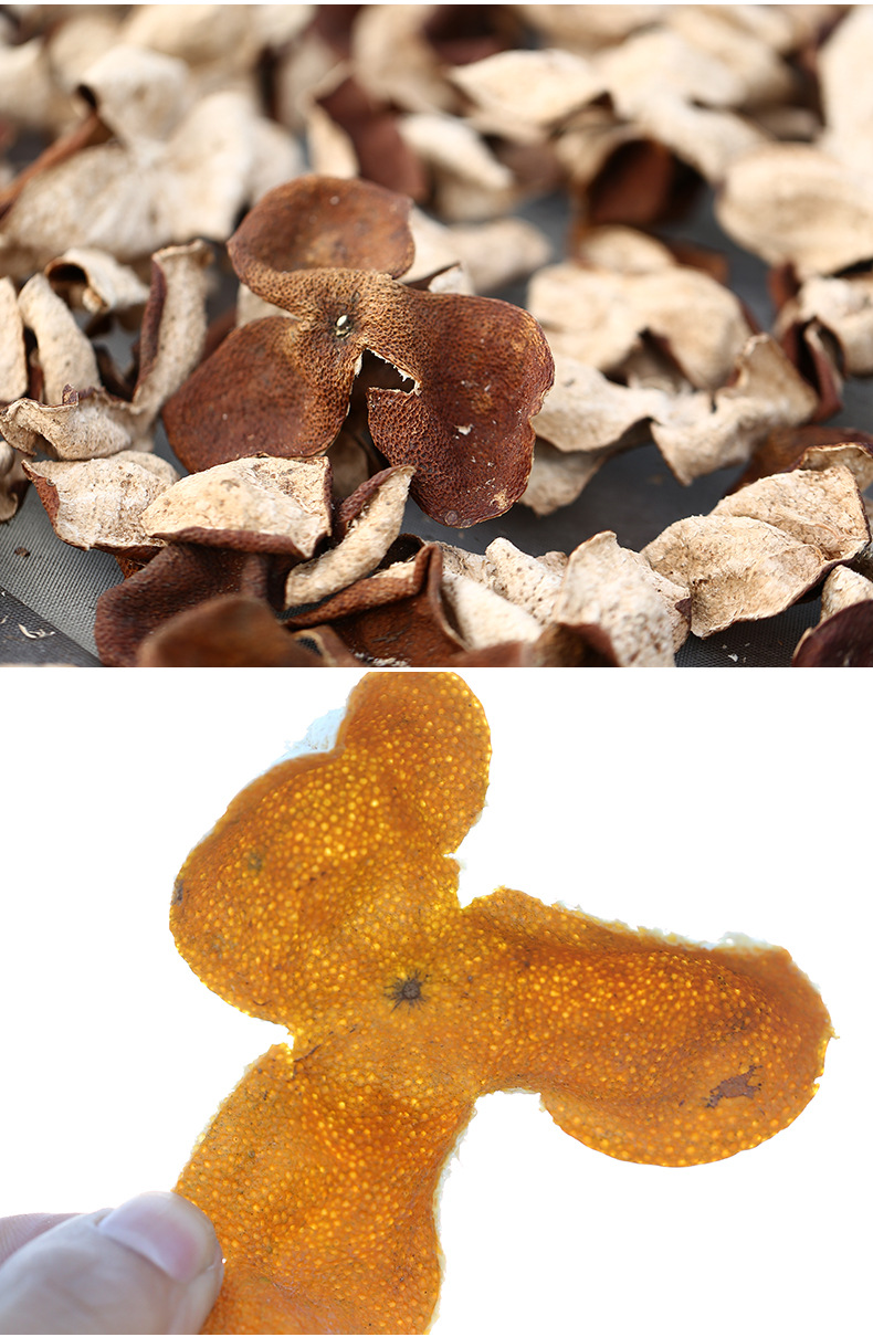 2019年新会天马新皮 广东陈皮橘子柑皮大红皮500克 实力工厂批发