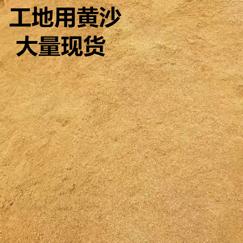 批发工地搅拌站用河沙水洗河沙建筑沙烘干砂分母河沙