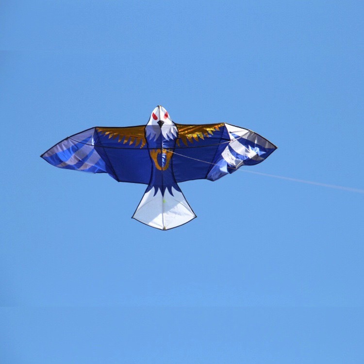 潍坊风筝老鹰风筝2.4米前杆拼接老鹰厂家批发不飞包退不好卖包退