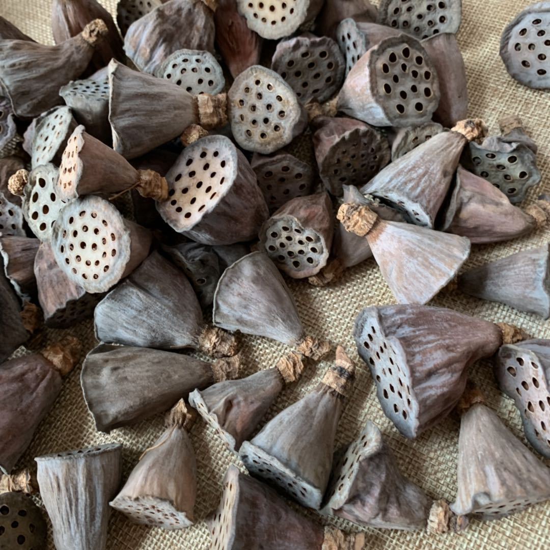 干莲蓬小莲蓬头莲蓬壳头干花带籽莲蓬干花禅意家居装饰干花心莲蓬