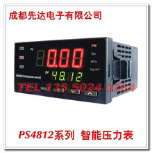 PS4812系列 可编程智能数字压力表(高温熔体)