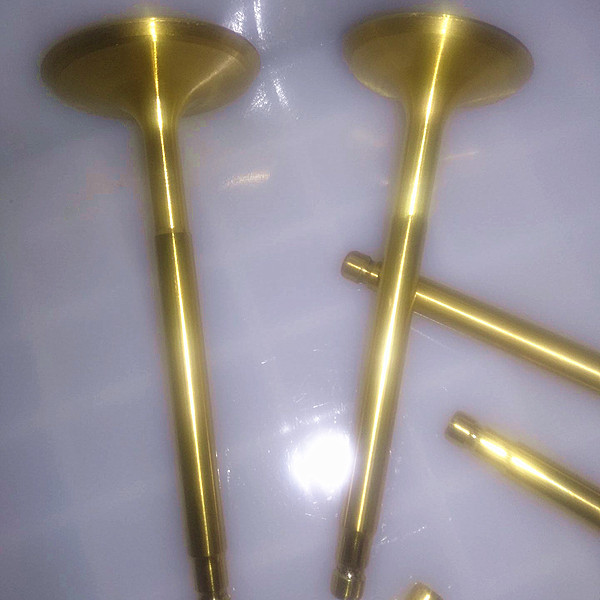 气门工厂现货供应适用奇瑞4g16气门