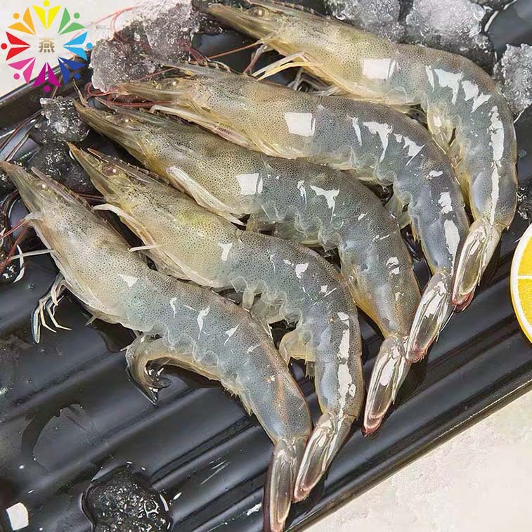 南美厄瓜多尔大白虾毛重虾鲜活海鲜水产冻对虾健身食品