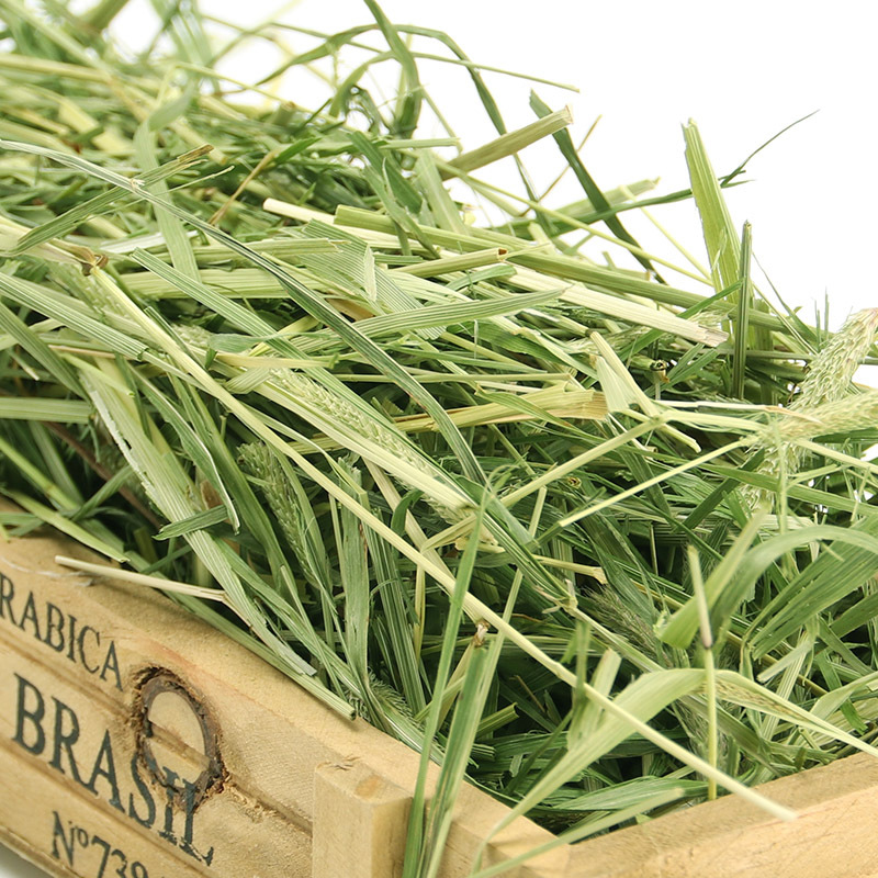 烘烤提摩西草草段1kg 兔草龙猫荷兰猪提草粮草5kg/件起批一件包邮