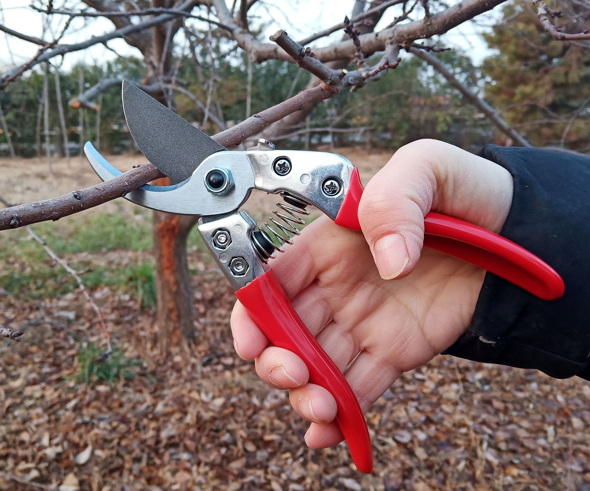 易速sj803修枝剪 园艺剪刀果树修枝剪子园林苗木花枝