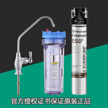 滨特尔pentair爱惠浦ESO6家用净水器厨房直饮过滤器净水机