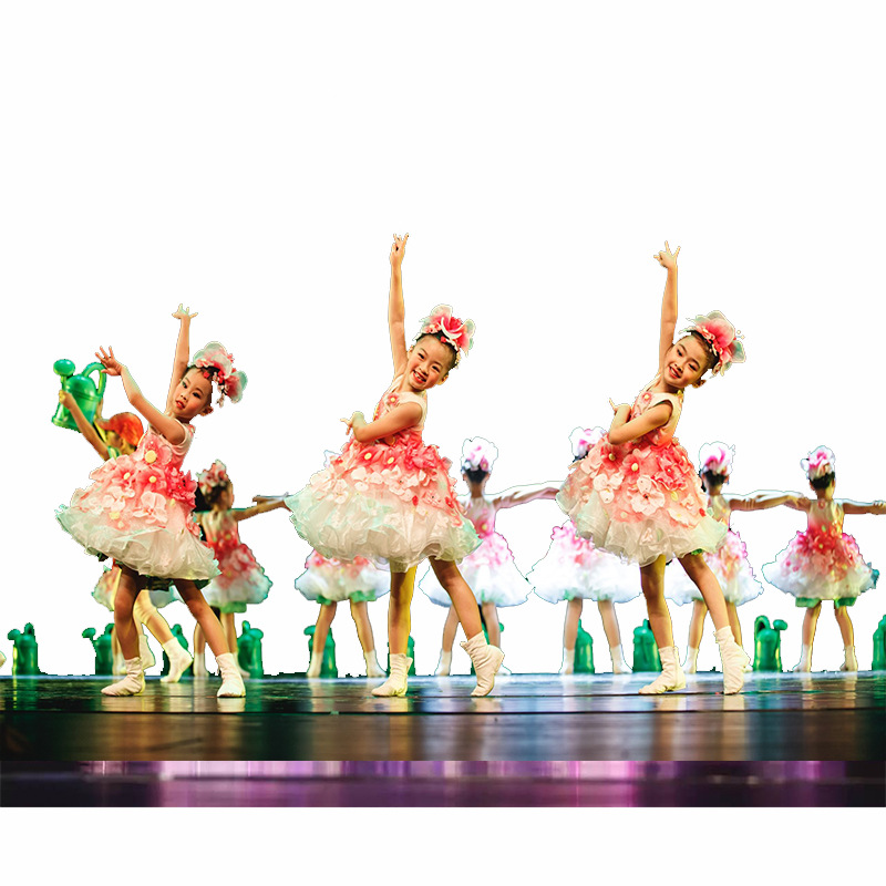 儿童公主裙蓬蓬纱裙新款第九届小荷风采舞蹈服花儿你好演出服