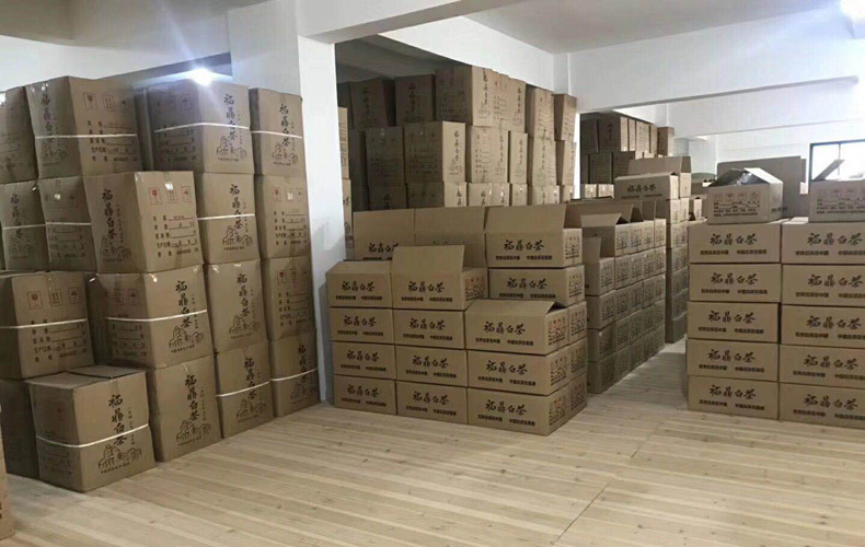 2021年福鼎白茶头春白牡丹高山散茶花香味新茶500g 厂家批发