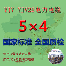 国标WDZ-YJY/YJV-5*4平方铜芯电力电缆线华新/珠江/穗星/胜宇