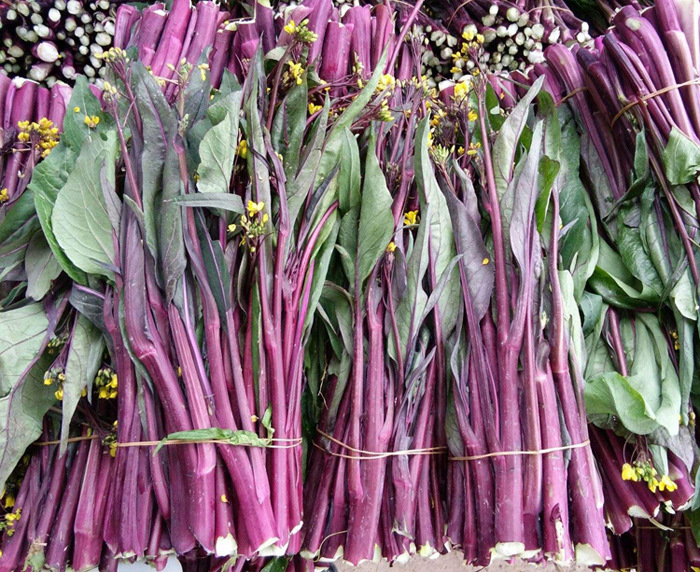 紫菘菜心_庭院盆栽蔬菜籽红菜苔种子紫菜薹红油紫菘金殿玉菜籽菜心
