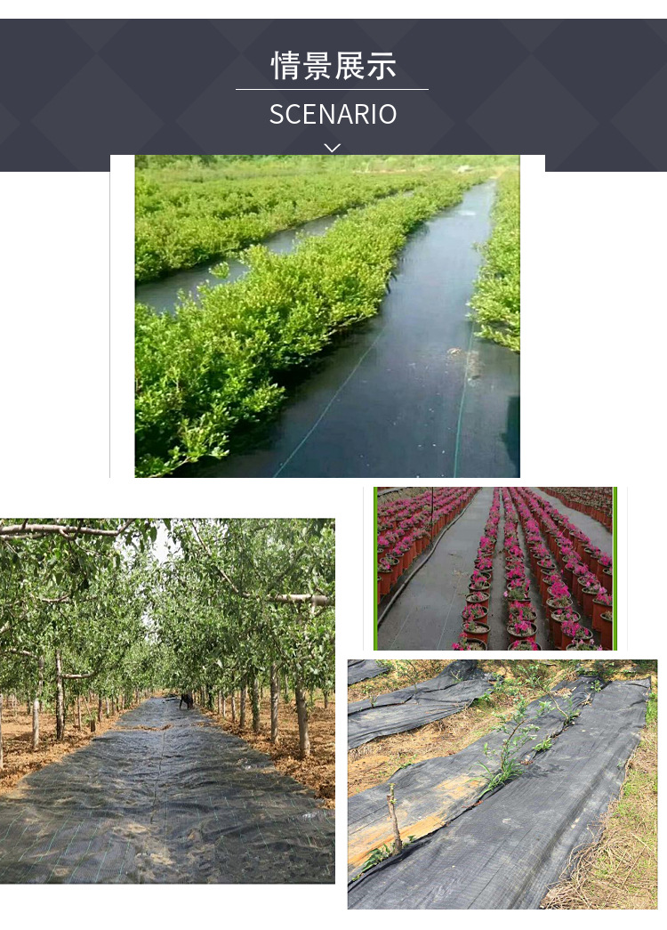 防草地布园艺除草布抑草布大棚地膜地垫土壤透气保湿保持地面清洁