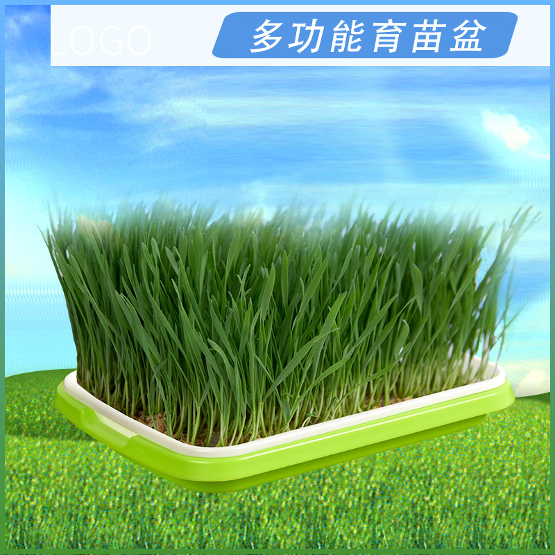 豆芽发芽盆家用自制无土栽培水培发芽盆小麦苗种植盆芽苗菜育苗盘