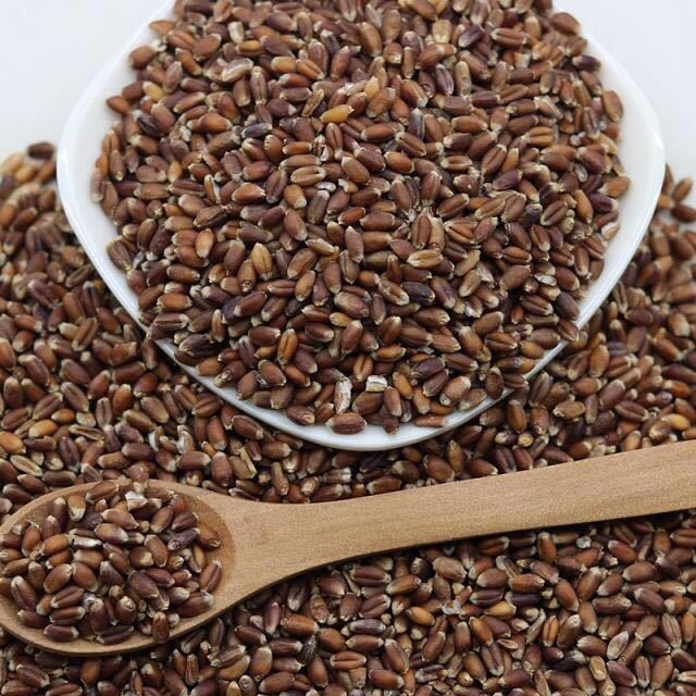 低温烘焙黑麦 熟黑麦 打粉原料 五谷豆浆 一件代发黑麦-阿里巴巴