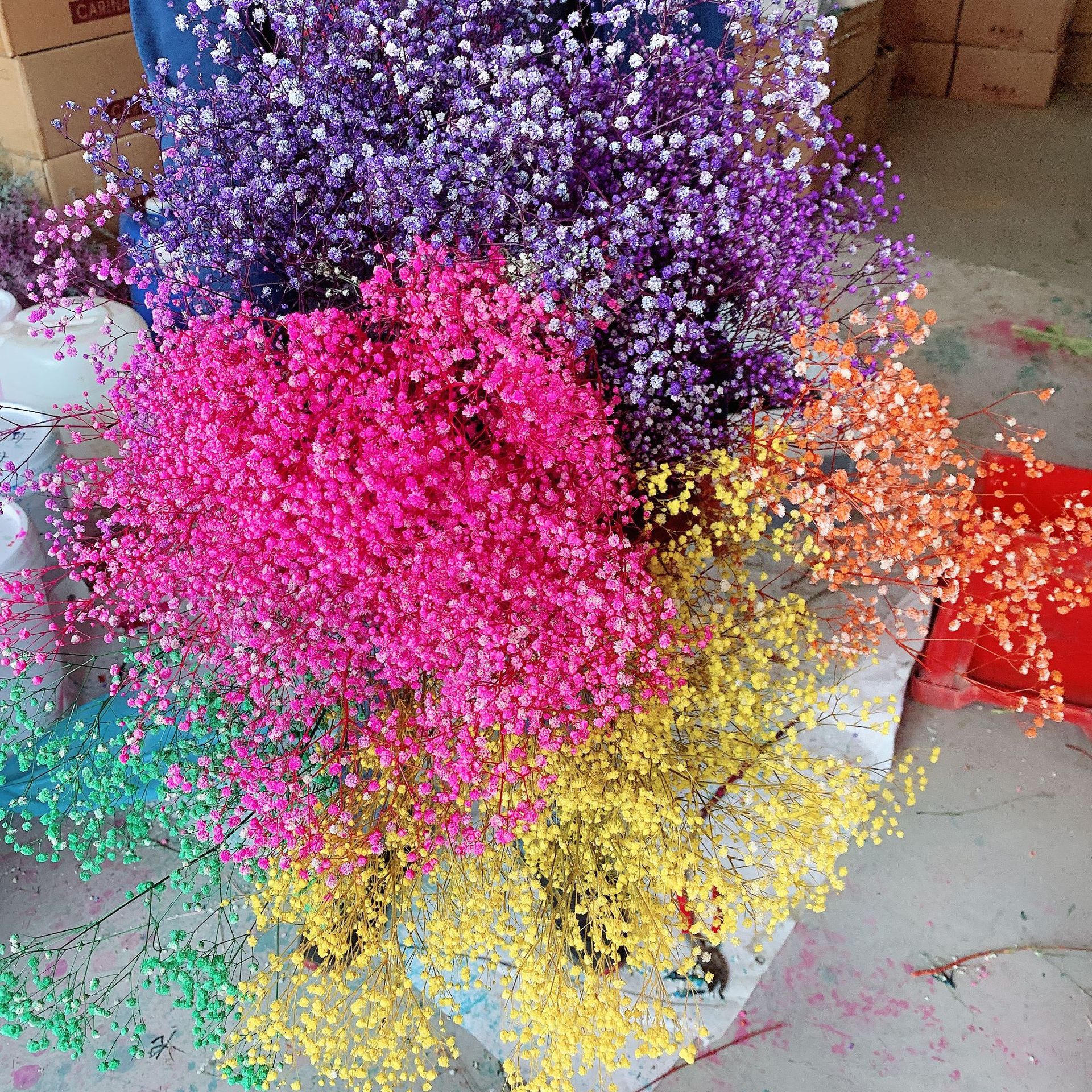 永生满天星批发永生花批发云南花材配材满天星多色可选100克/束