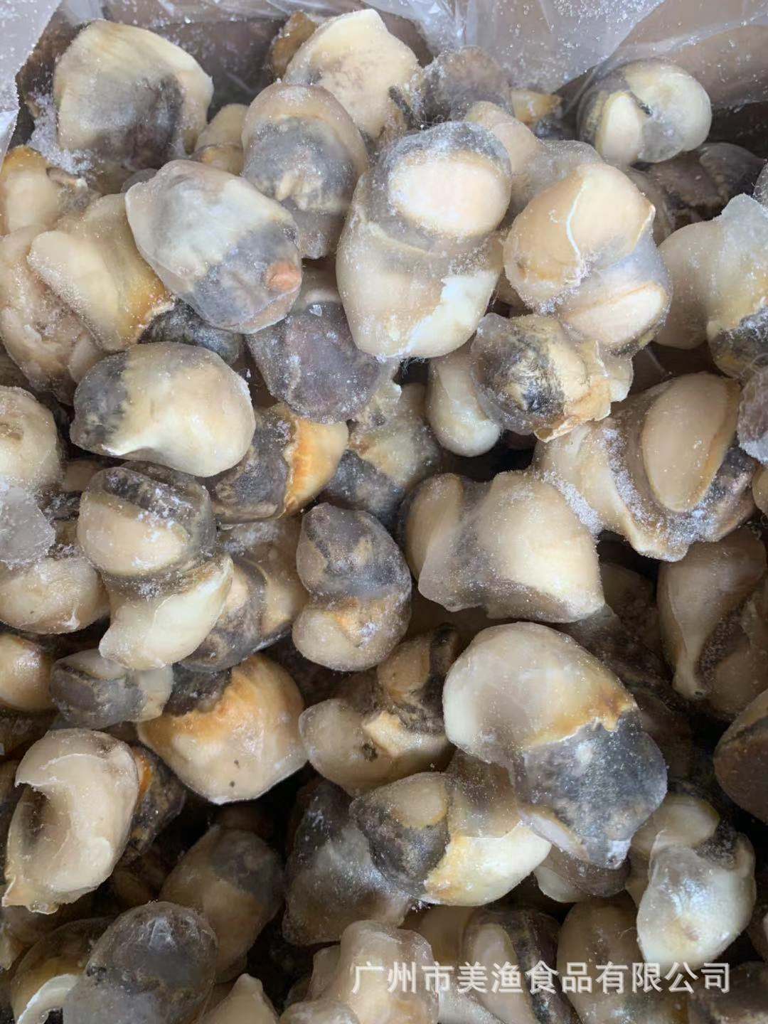 熟冻海螺头肉鲜活新鲜去壳冷冻大海螺肉去内脏贝类海鲜水产可散卖