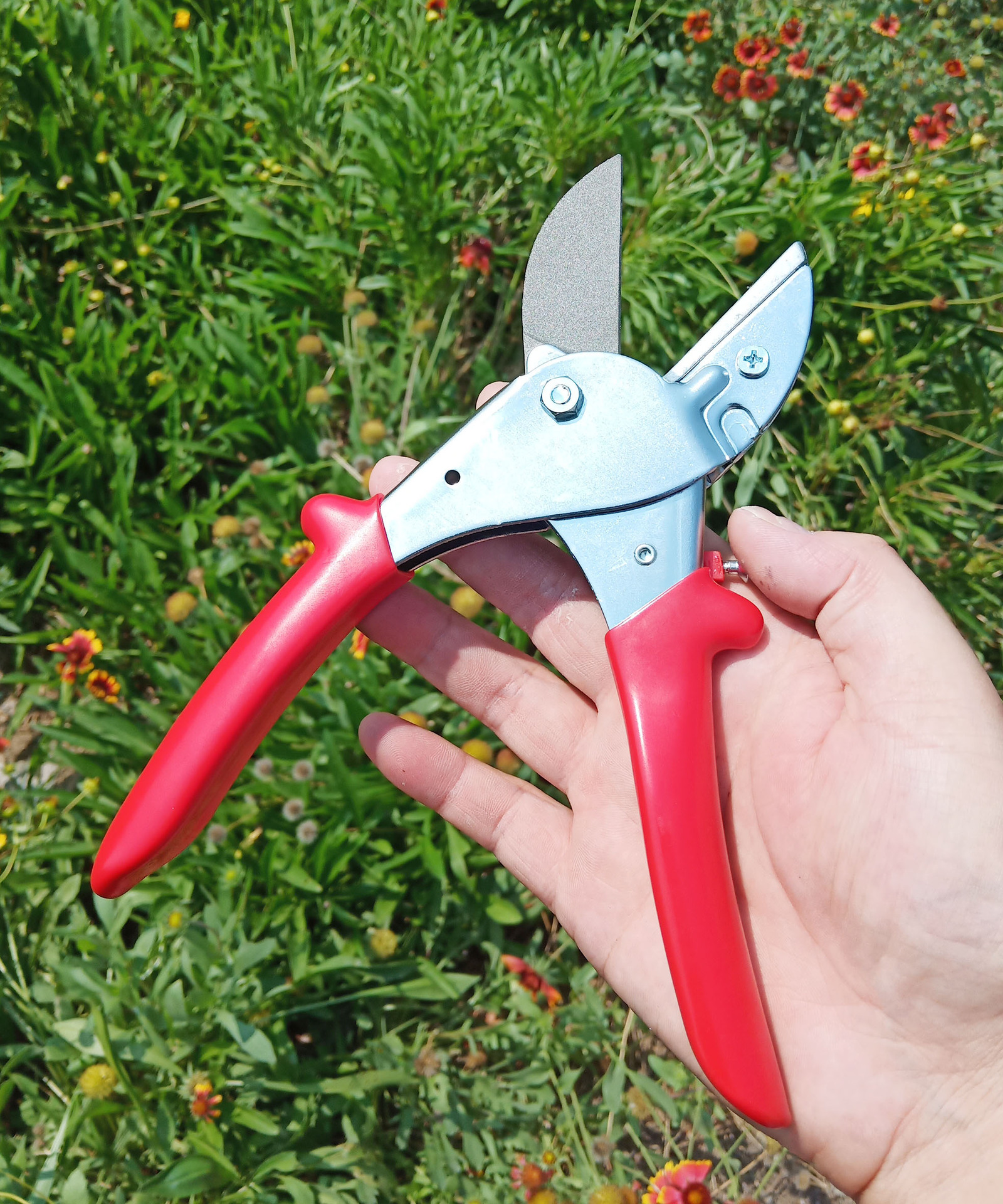 易速sj813修枝剪 果树剪刀 省力修枝剪 园林园艺剪刀剪葡萄枝剪刀