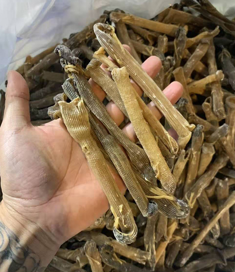 全民滋补北海沙虫干金黄色干货去沙袋产地沙虫一手渠道货源招代理