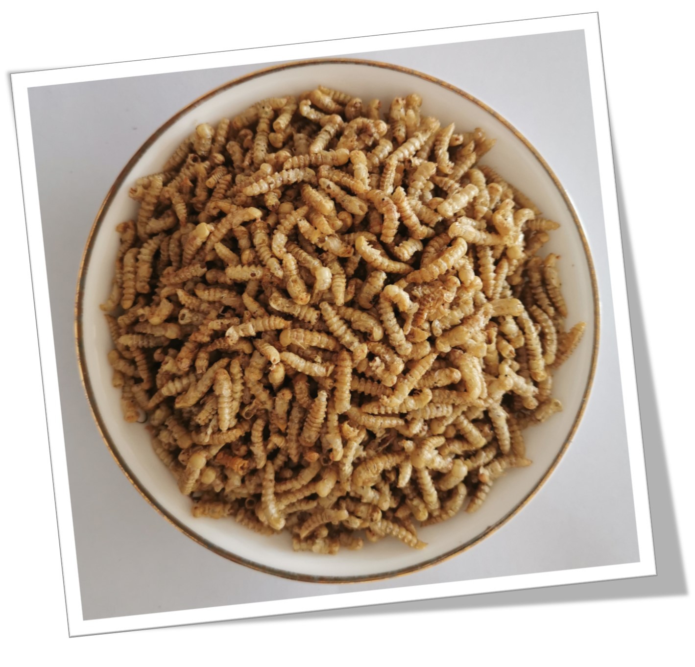 黄粉虫干蛹 黄粉虫蛹干品 面包虫蛹