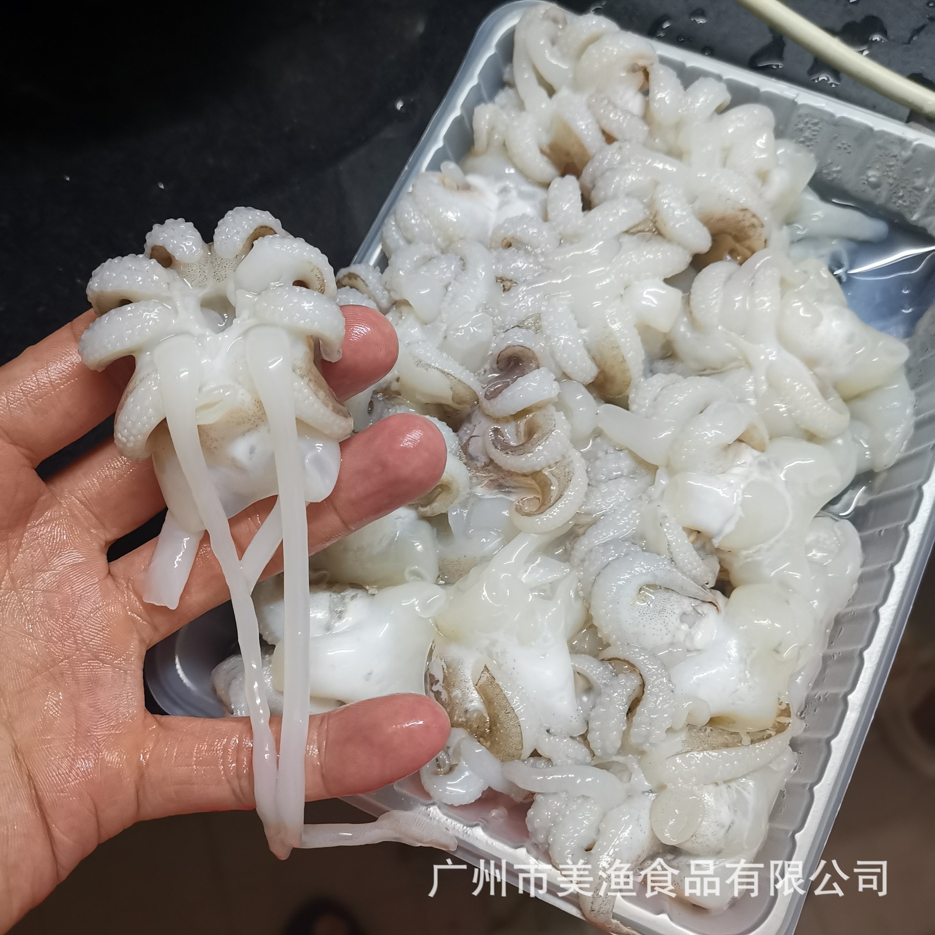 墨鱼头海菊花墨鱼仔头部火锅脆嫩特色半成品海鲜食材470克包