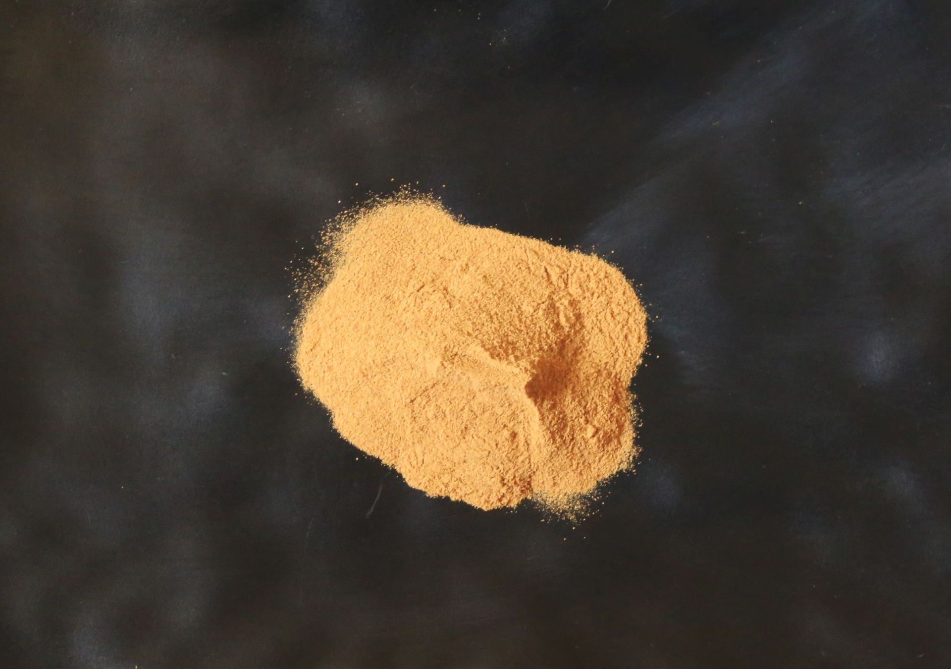 巴西榥榥木提取物 10:1 巴西晃晃木粉 天然巴西晃晃木 供应 厂家