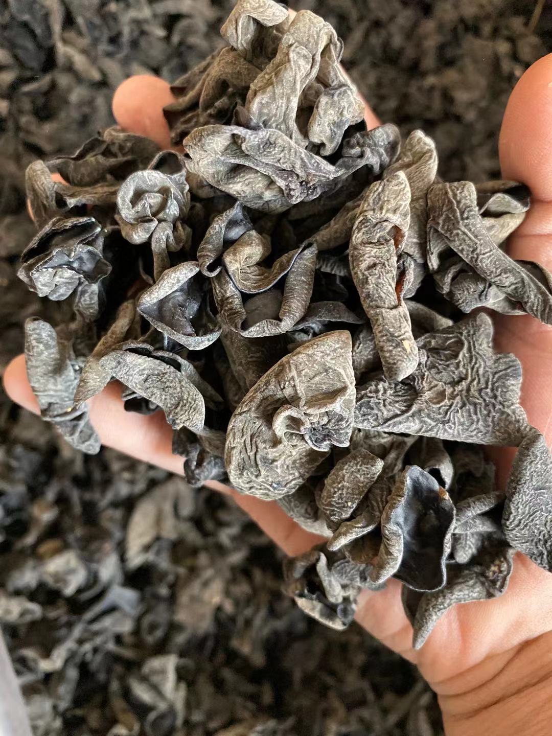 2020展会地摊热卖东北木耳黑木耳干货食用菌黑木耳60斤整箱 批发