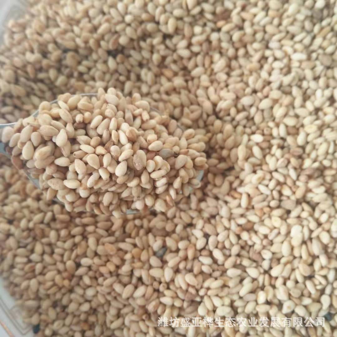 厂家现货低温烘焙熟鹰嘴豆粮油作物豆类谷物色泽气味好量大价低