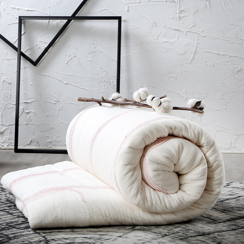 新疆长绒棉棉花被胎棉被红线棉花胎被胎加密纱网精梳棉胎2-8-10斤