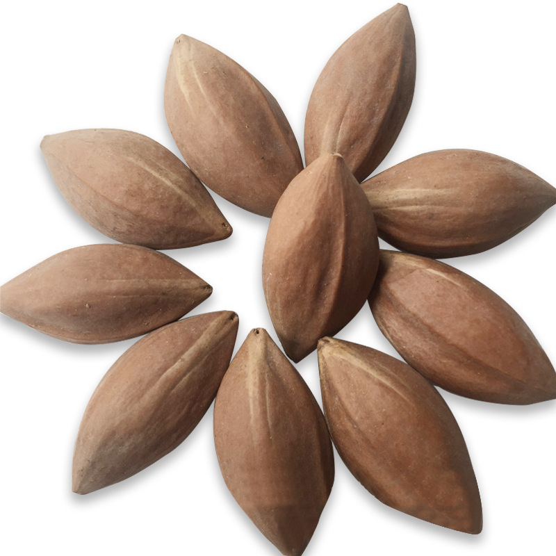 2016批发橄榄核原料十八罗汉正圆观音料按斤卖直1618mm长3442mm